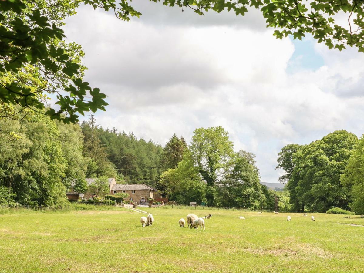 Spens Farm *